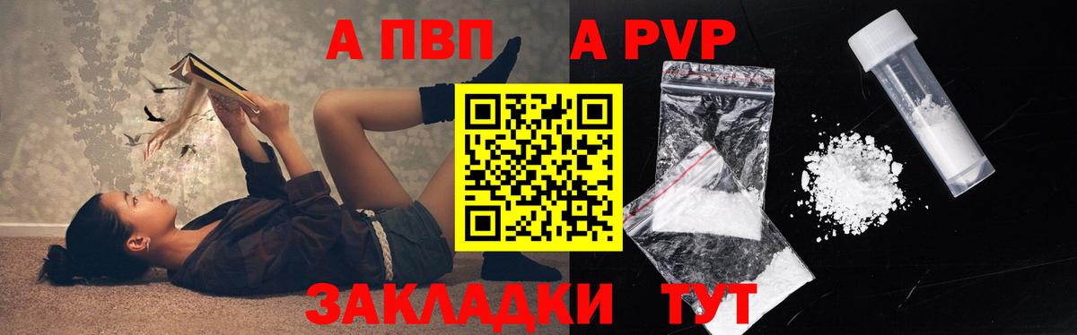 A PVP СК Владимир