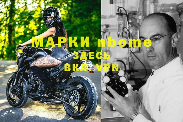 Альфа ПВП Няндома