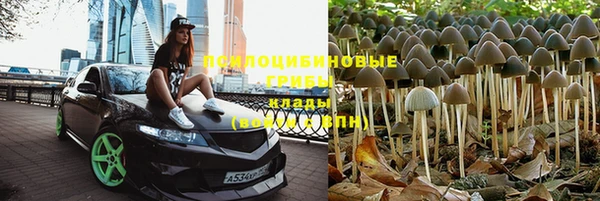 стафф Нязепетровск