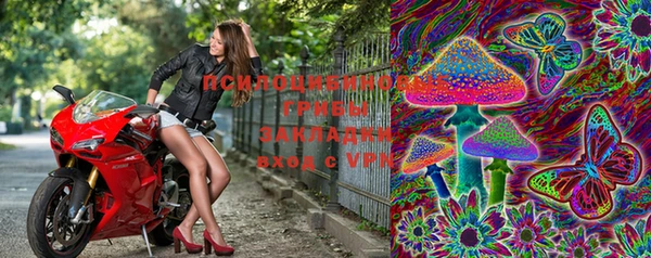 ешки Нягань