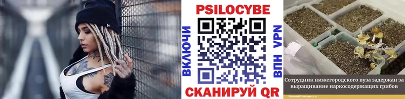 Псилоцибиновые грибы мицелий  цены   Владимир 