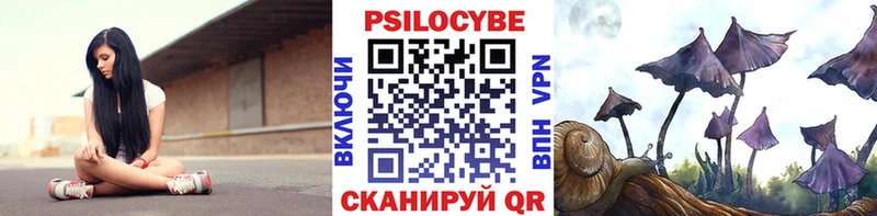 Псилоцибиновые грибы мухоморы Владимир