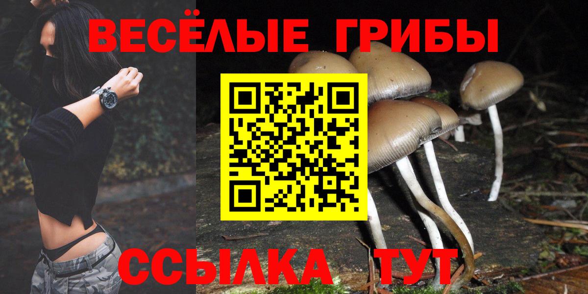 Псилоцибиновые грибы прущие грибы Владимир